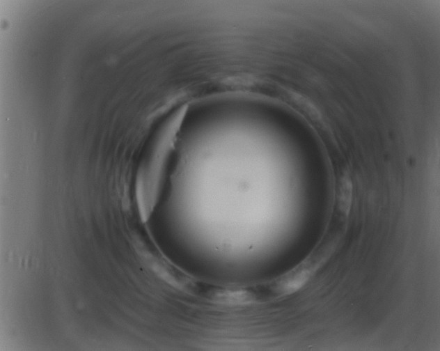 X0000086280428200704051340