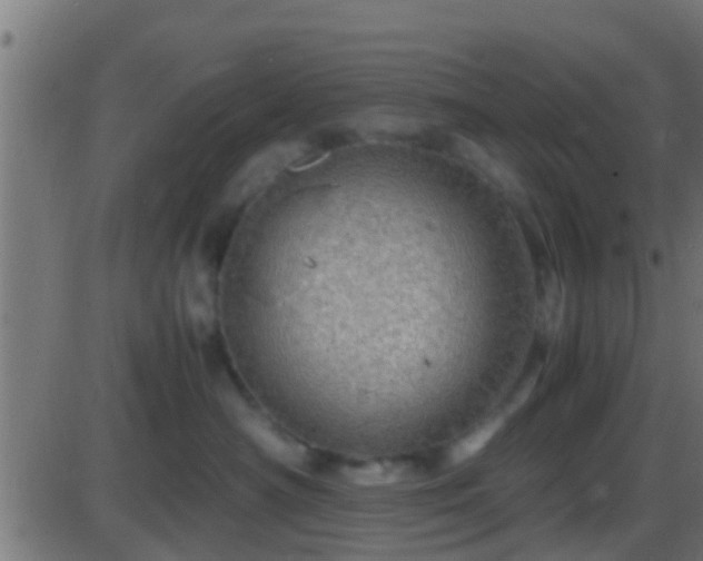 X0000086280430200704051340