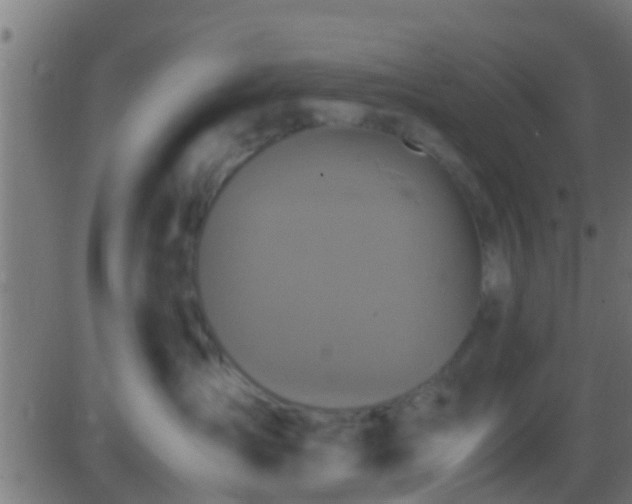 X0000086280431200704051340