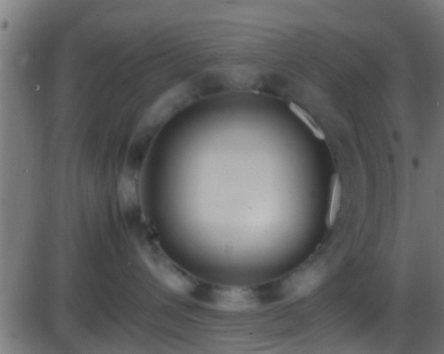 X0000086280432200704051340