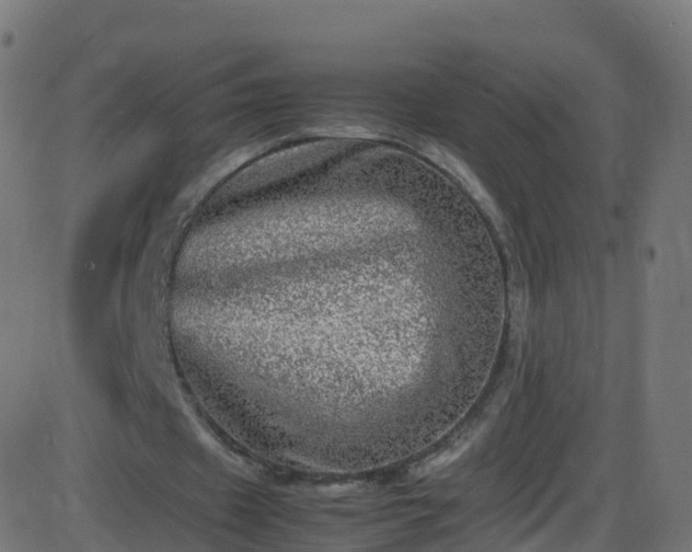 X0000086280433200704051339