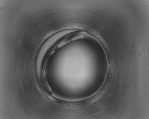 X0000086280434200704051339