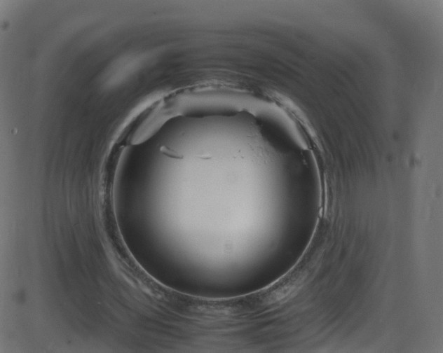 X0000086280435200704051339