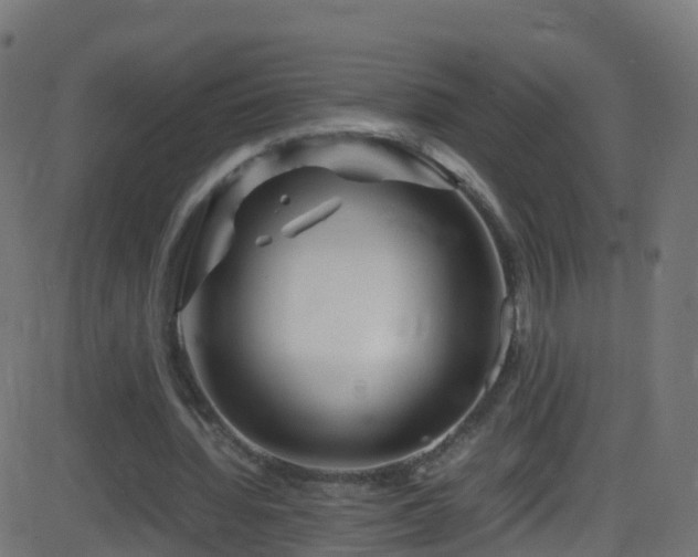 X0000086280436200704051339