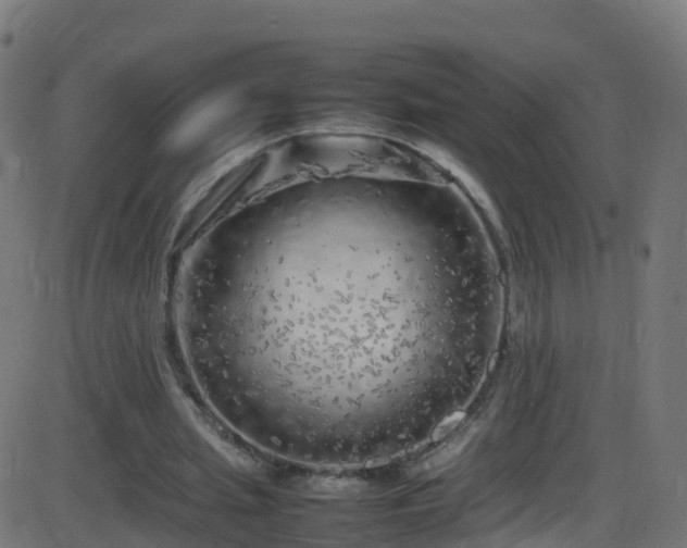 X0000086280437200704051339