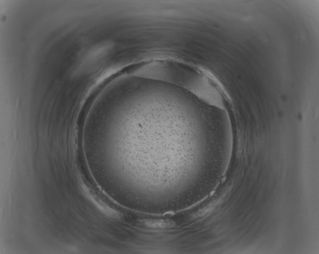 X0000086280439200704051339