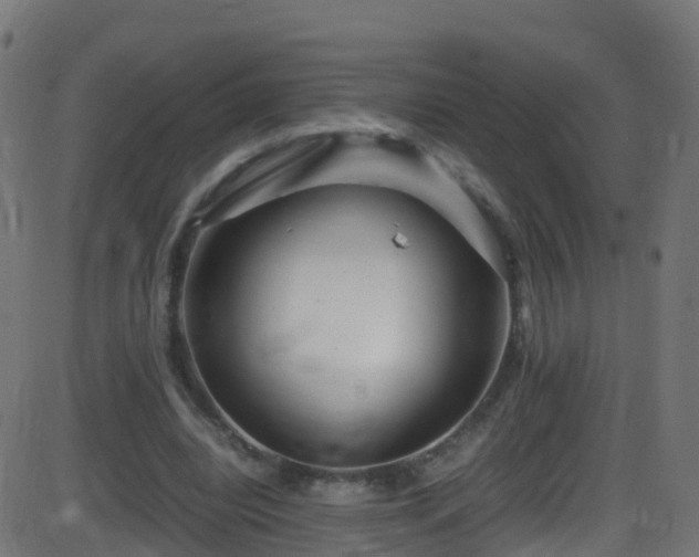 X0000086280440200704051339