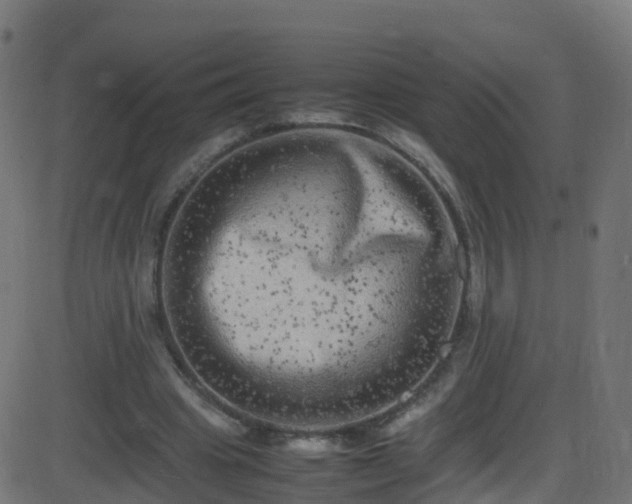 X0000086280441200704051339