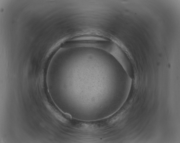 X0000086280442200704051339