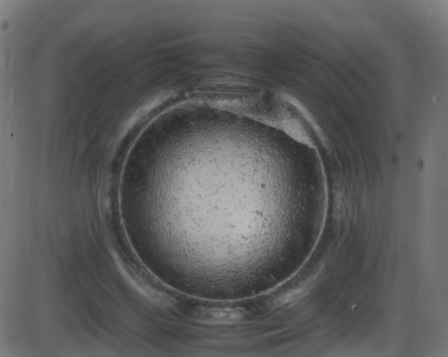 X0000086280443200704051339