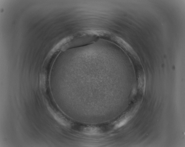 X0000086280444200704051339