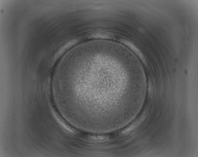 X0000086280445200704051339