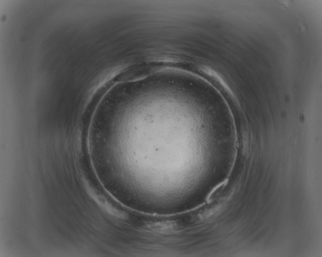 X0000086280447200704051339