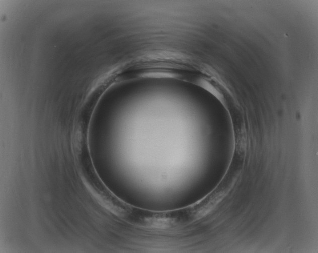 X0000086280448200704051339