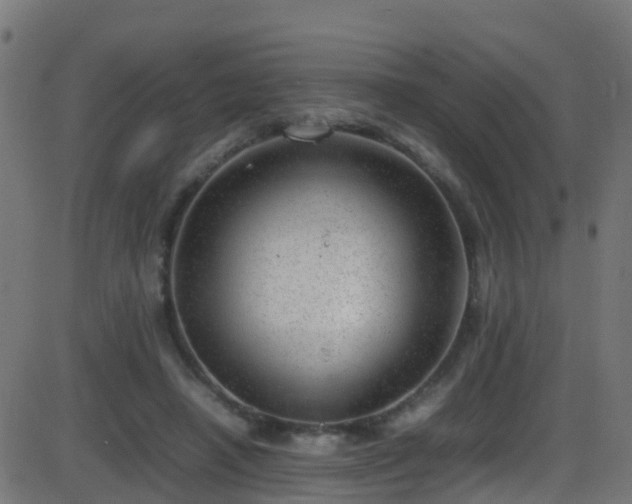 X0000086280450200704051339