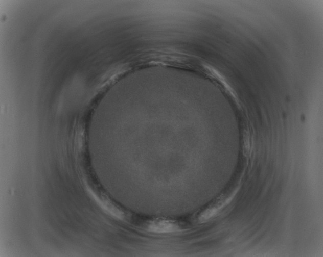 X0000086280451200704051339