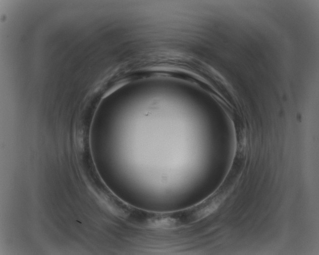 X0000086280452200704051339