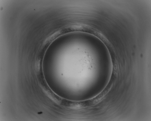 X0000086280454200704051339