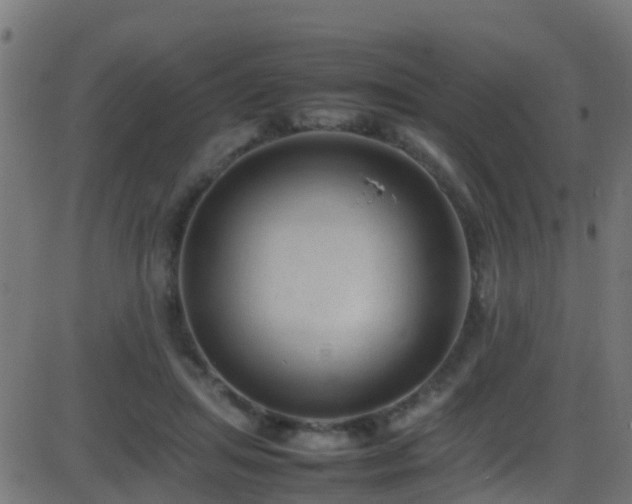 X0000086280455200704051339