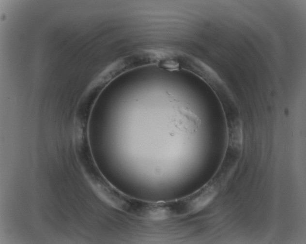 X0000086280456200704051339