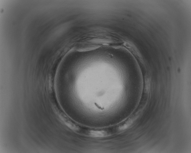 X0000086280457200704051339