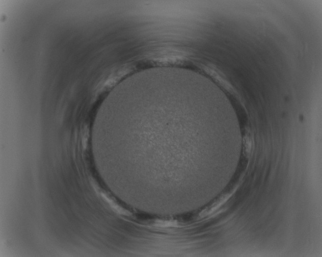 X0000086280458200704051339