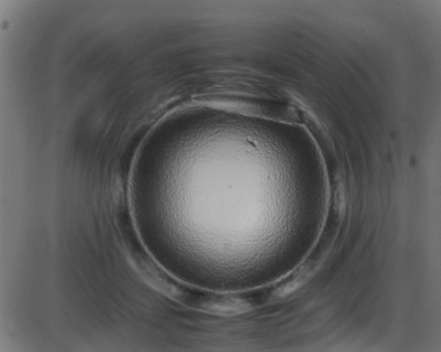 X0000086280459200704051339