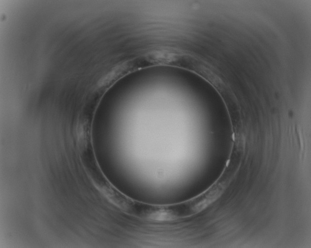 X0000086280460200704051339