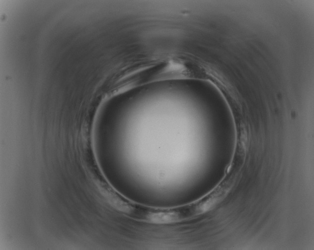 X0000086280461200704051339