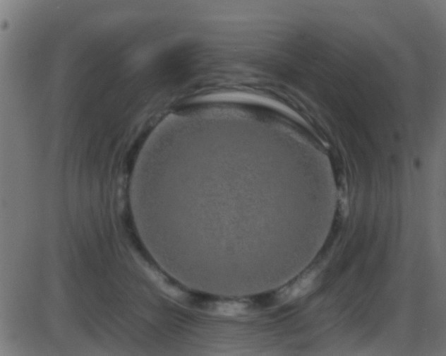 X0000086280462200704051339