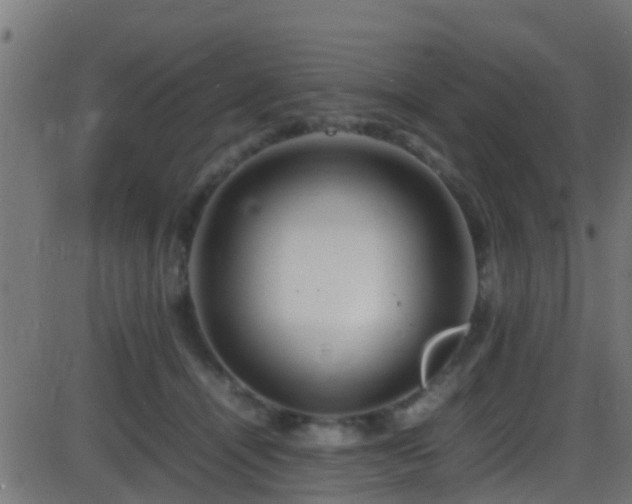 X0000086280464200704051339