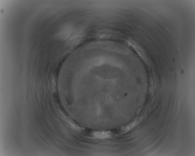 X0000086280465200704051339