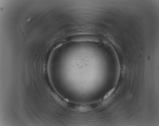 X0000086280466200704051339