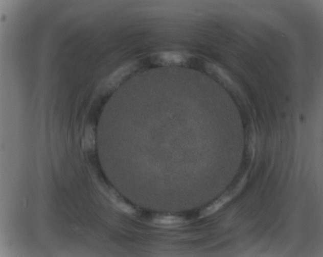 X0000086280467200704051339