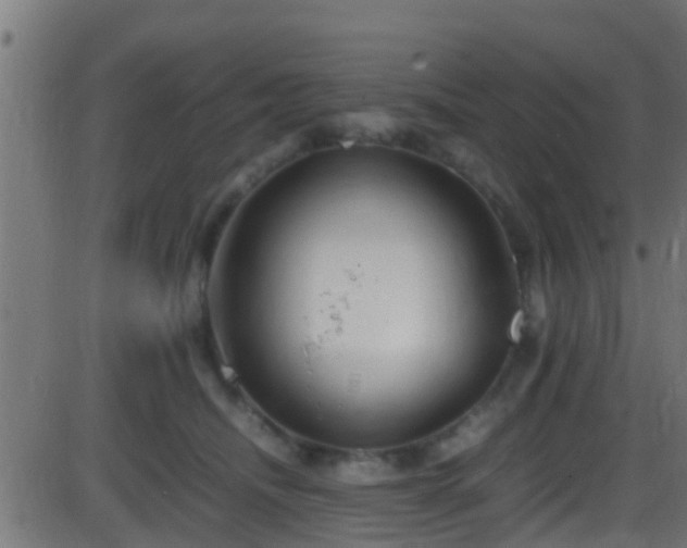 X0000086280468200704051339