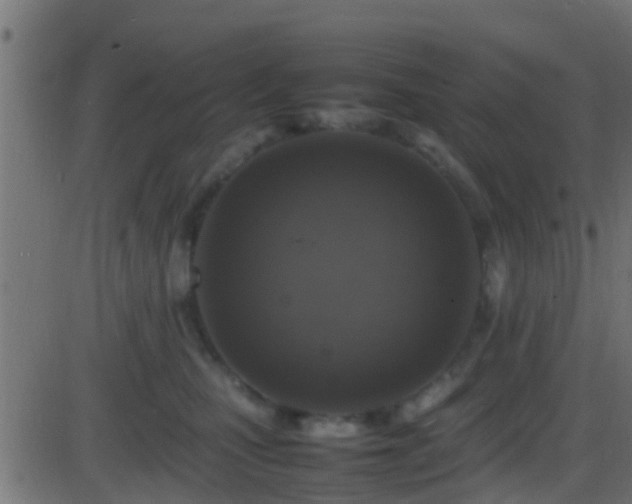 X0000086280471200704051339