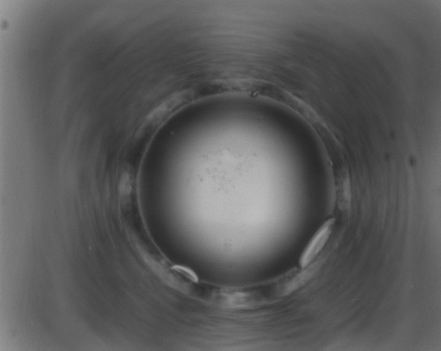 X0000086280472200704051339