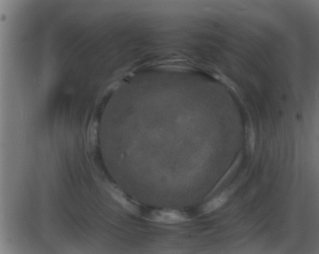 X0000086280475200704051339