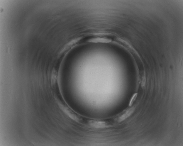 X0000086280476200704051339