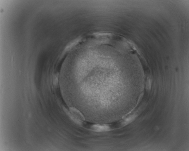 X0000086280477200704051339