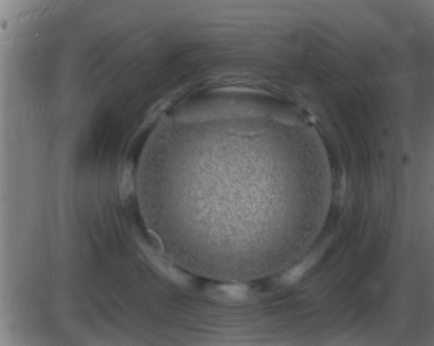 X0000086280478200704051339