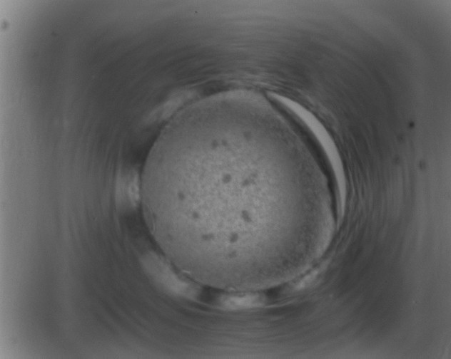 X0000086280479200704051340