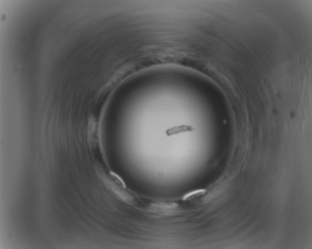 X0000086280480200704051340