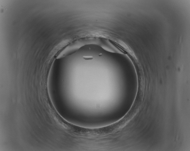 X0000086280481200704051339