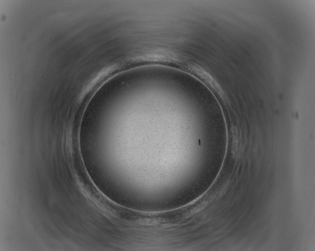 X0000086280482200704051339