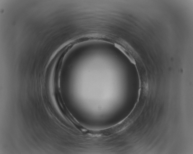 X0000086280484200704051339