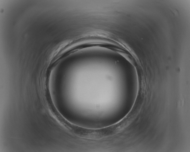 X0000086280485200704051339