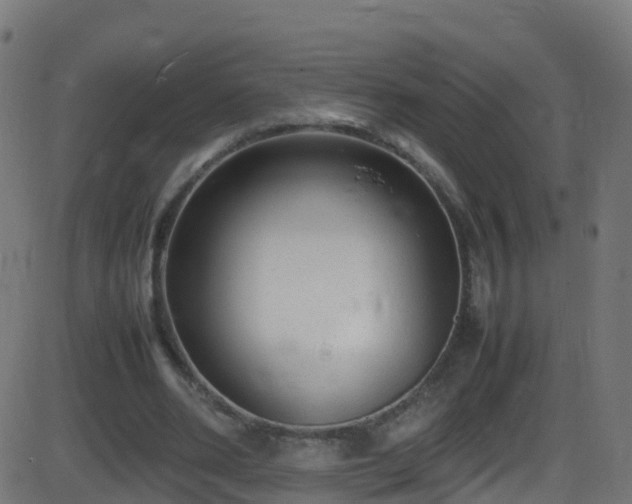 X0000086280486200704051339