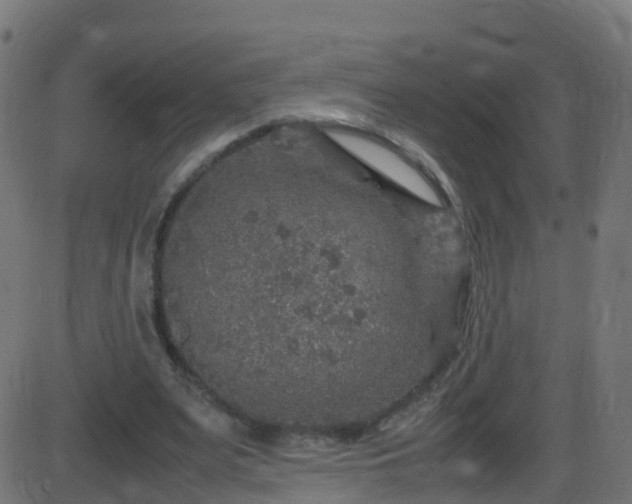 X0000086280487200704051339