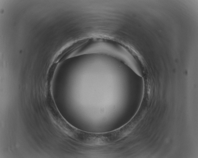 X0000086280488200704051339